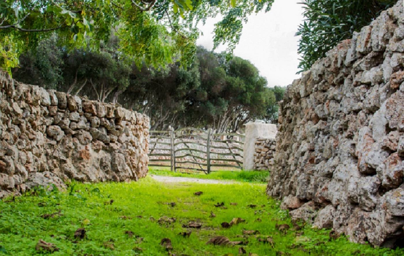 Rural-Sant-Joan-de-Binissaida-Sports-and-Entertainment-20