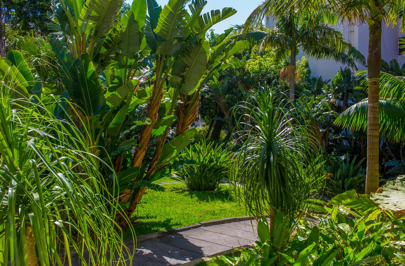 Estrelicia-Hotel-Sports-and-Entertainment-13