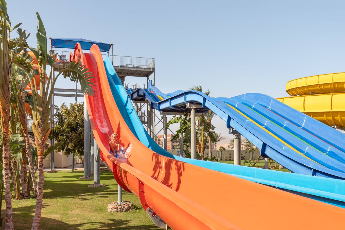 Royal Albatros Moderna