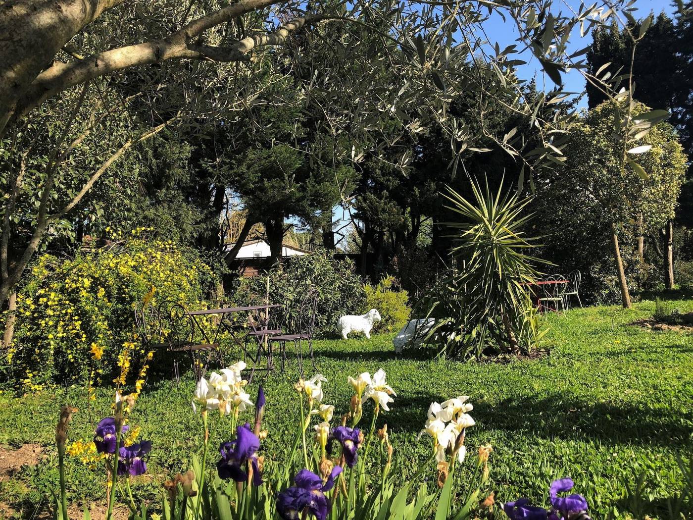 Aux Belles Vacances B B Only Adults-France-Caux-et-Sauzens-General view-6