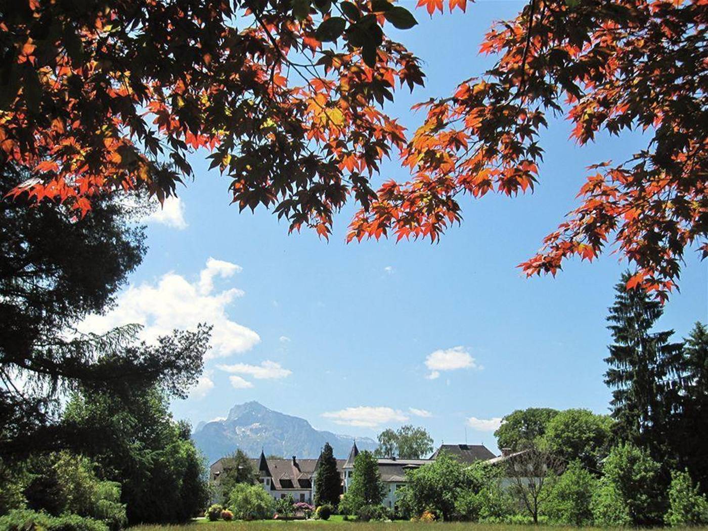 Doktorwirt-Austria-SALZBURG -General view-8