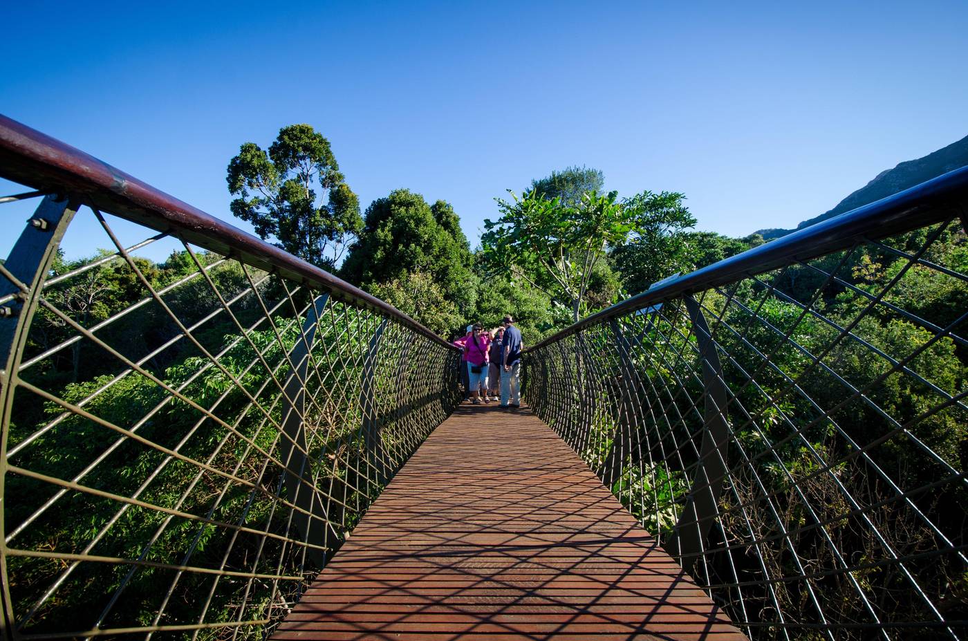 Strand-Tower-General-view-66