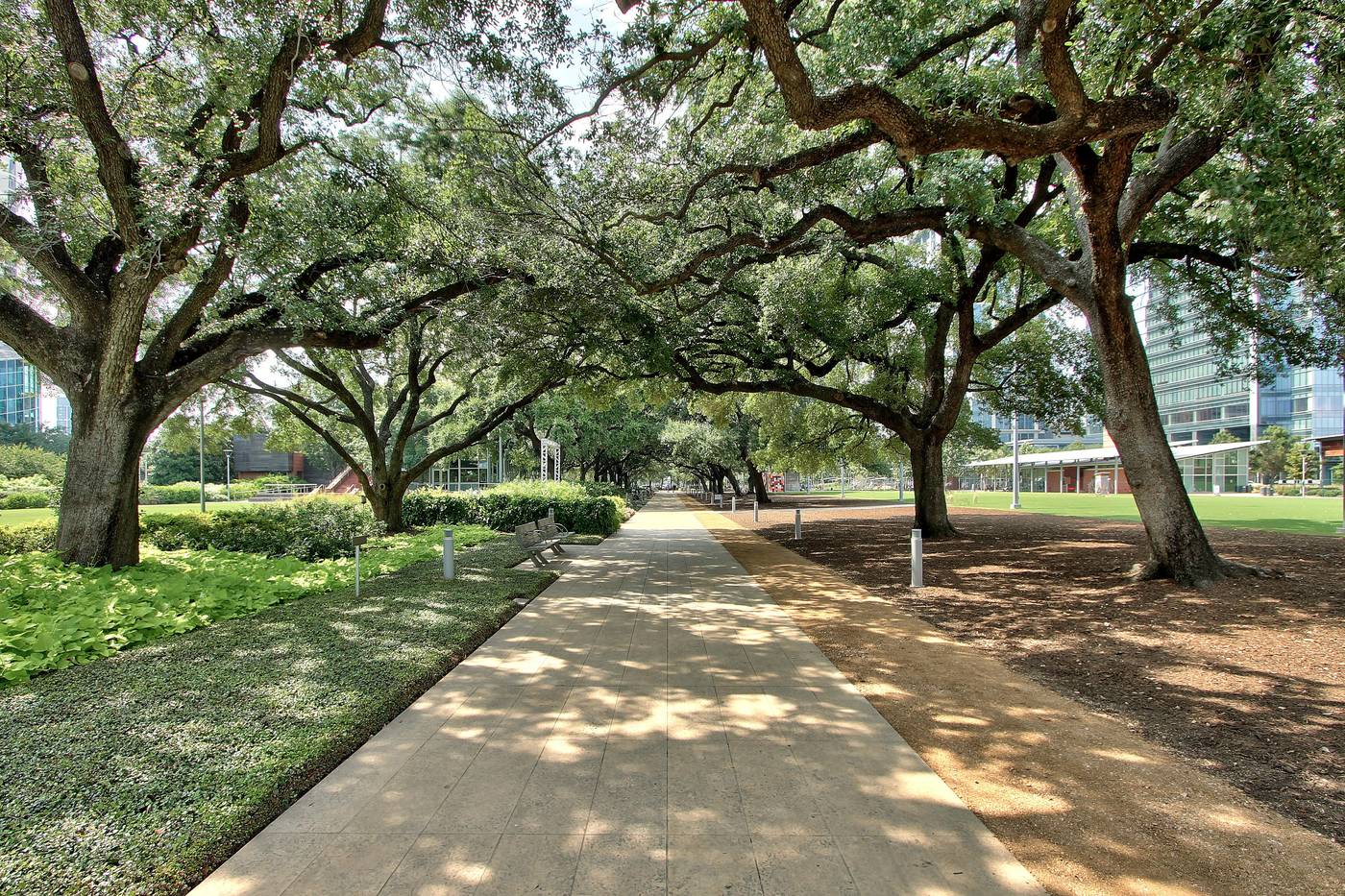 Holiday Inn Express and Suites Houston Dwtn Conv C-United States-HOUSTON-General view-8