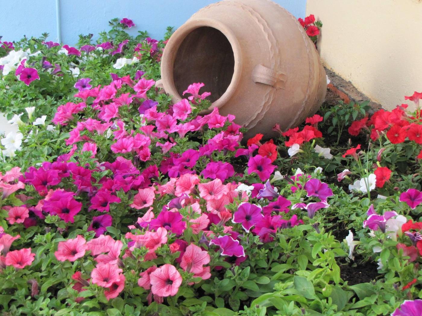 Futura-General-view-29