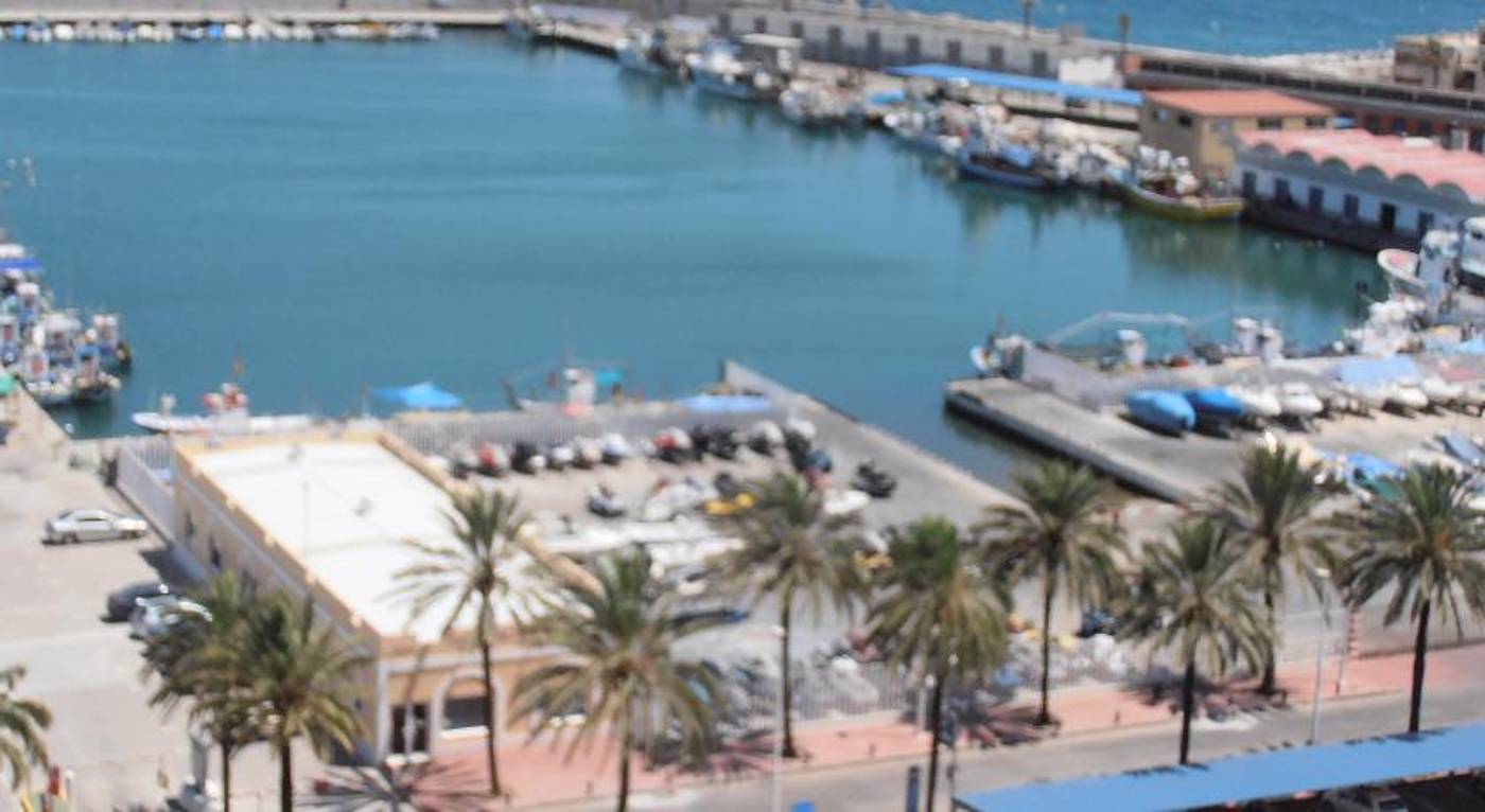 Las-Palmeras-General-view-56