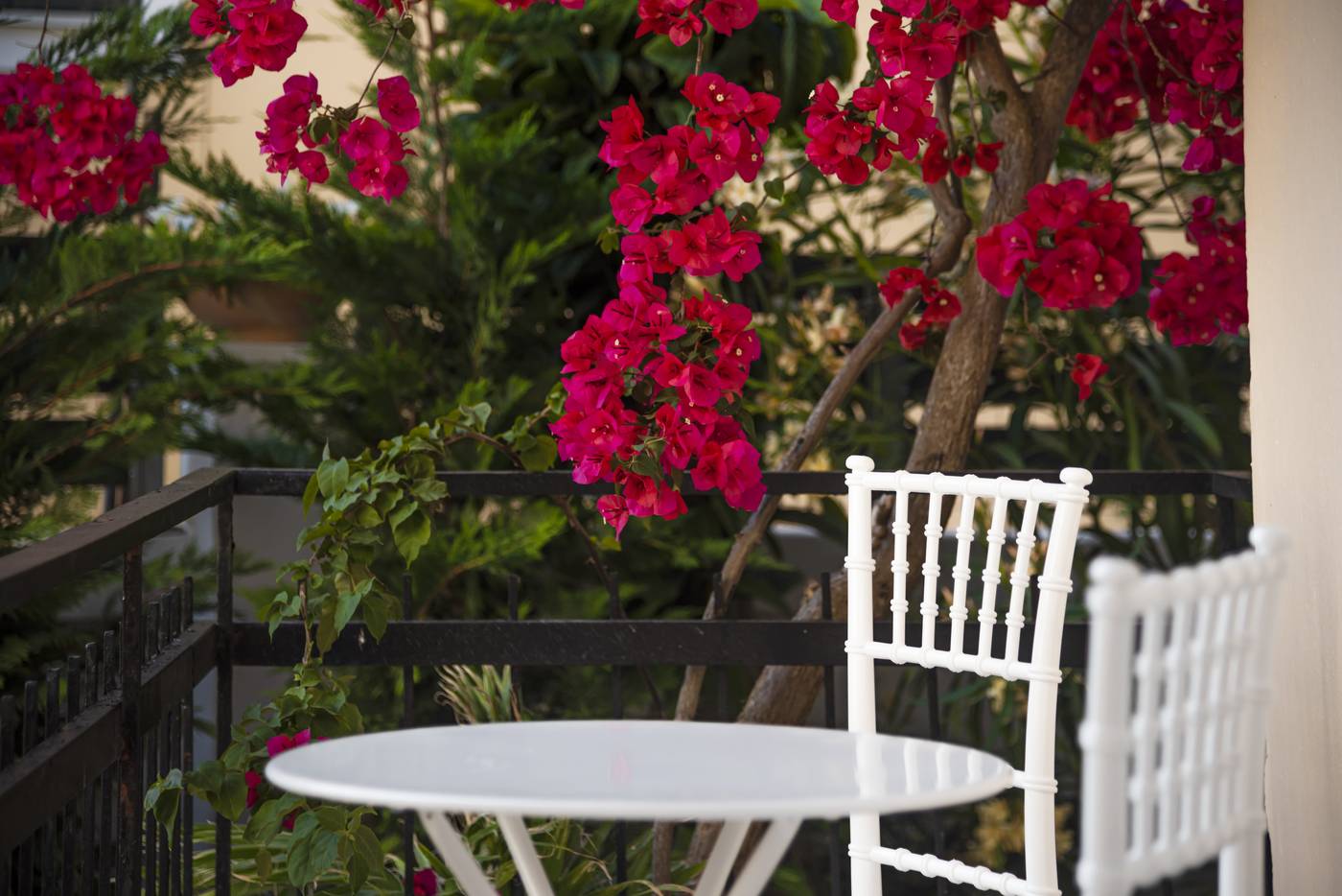 ELE-NAS-bohotel---Annex-Apartments-Room-18