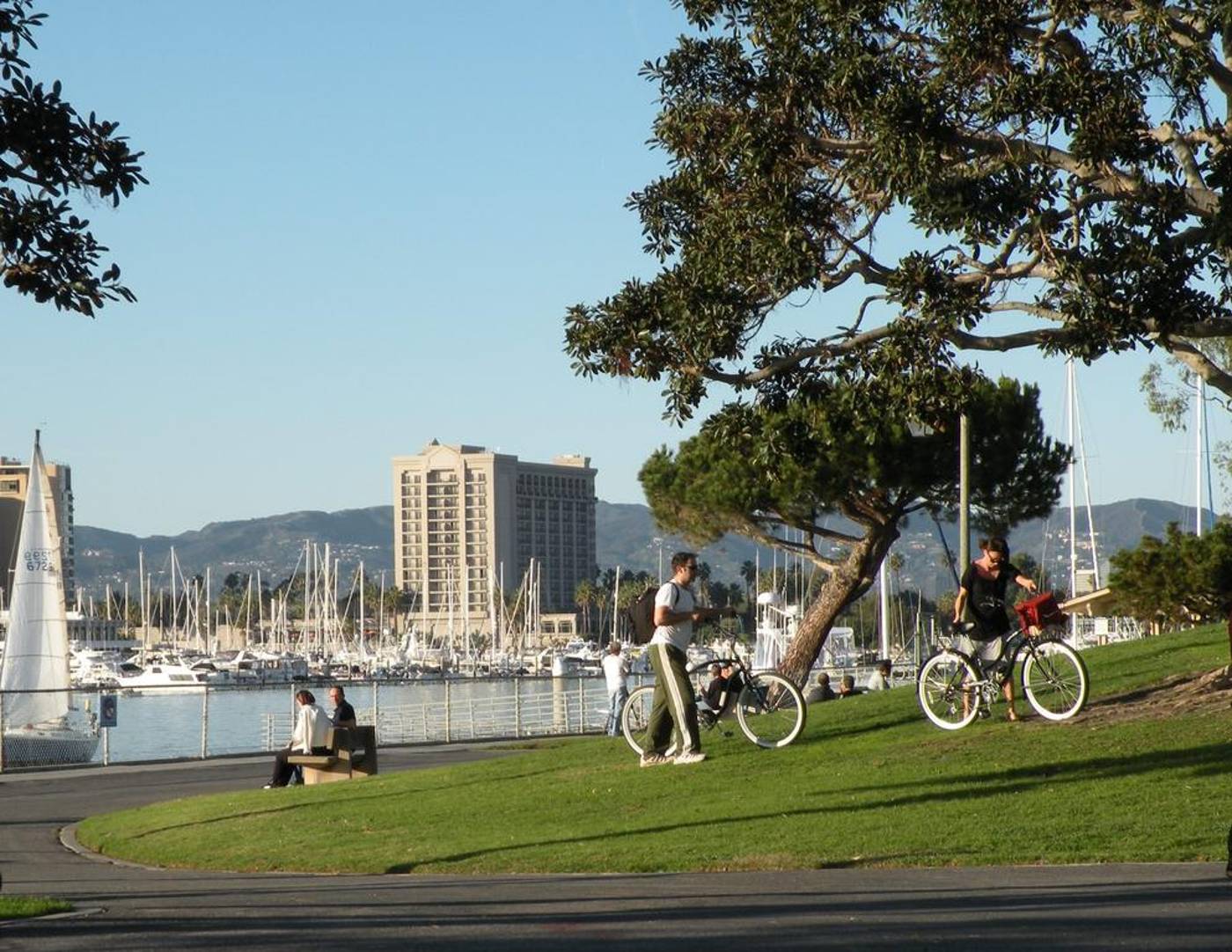 The-Kinney-Venice-Beach-Sports-and-Entertainment-21