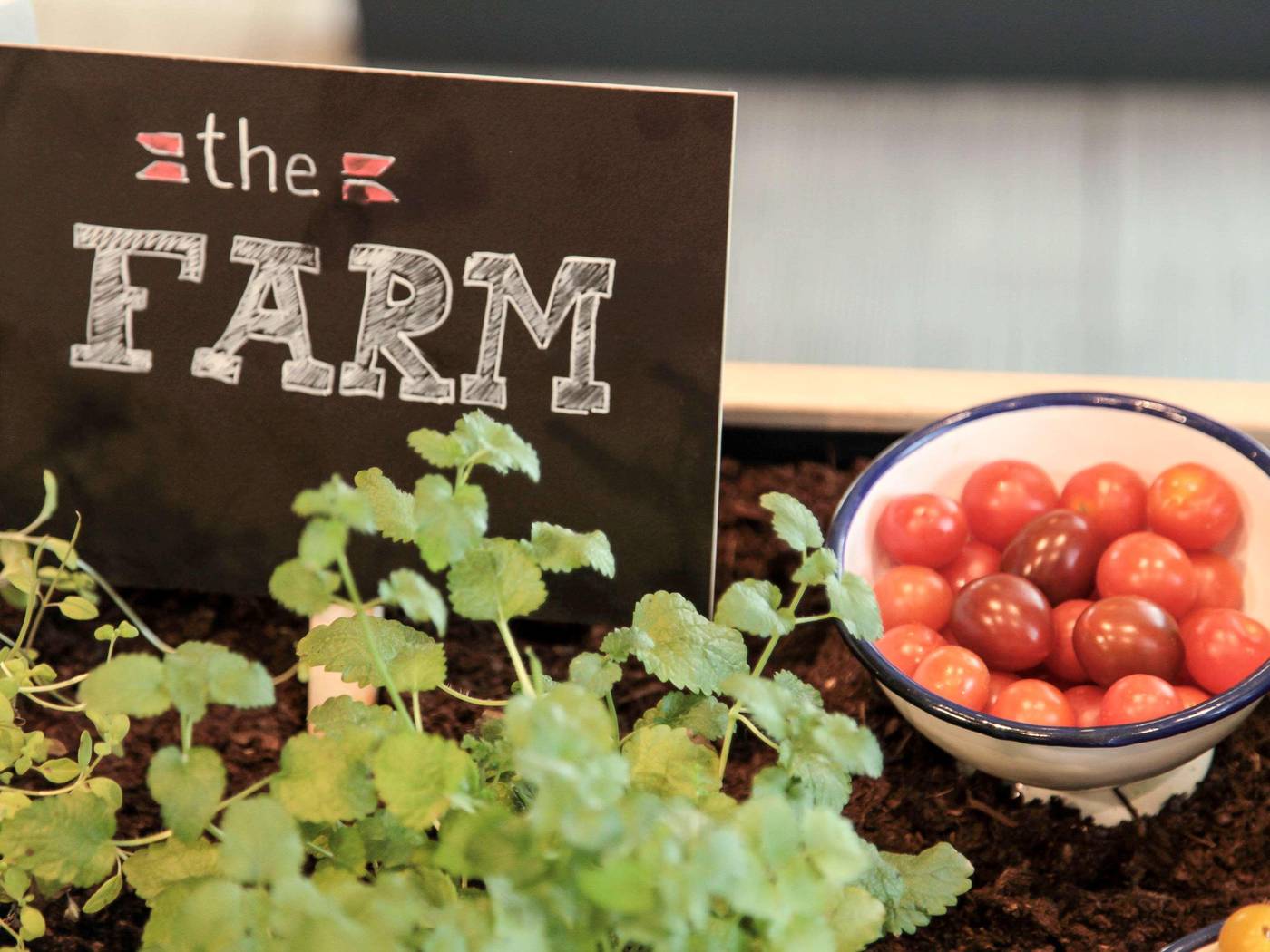 Athens-Capital-Center-Hotel-MGallery-Restaurant-78