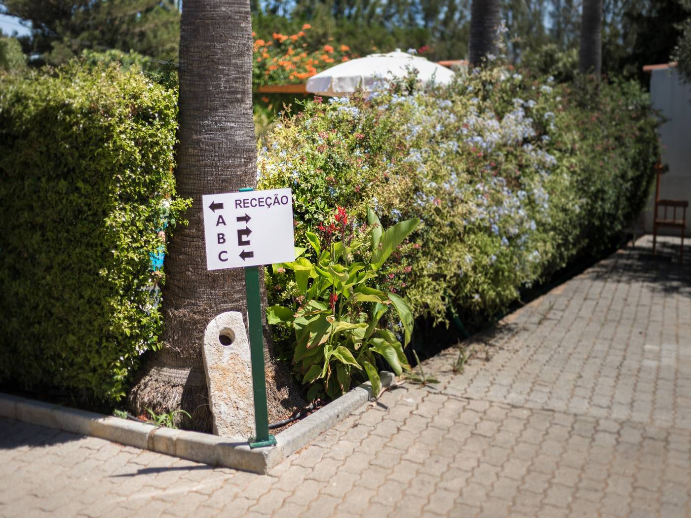 Flor-Da-Laranja-General-view-21