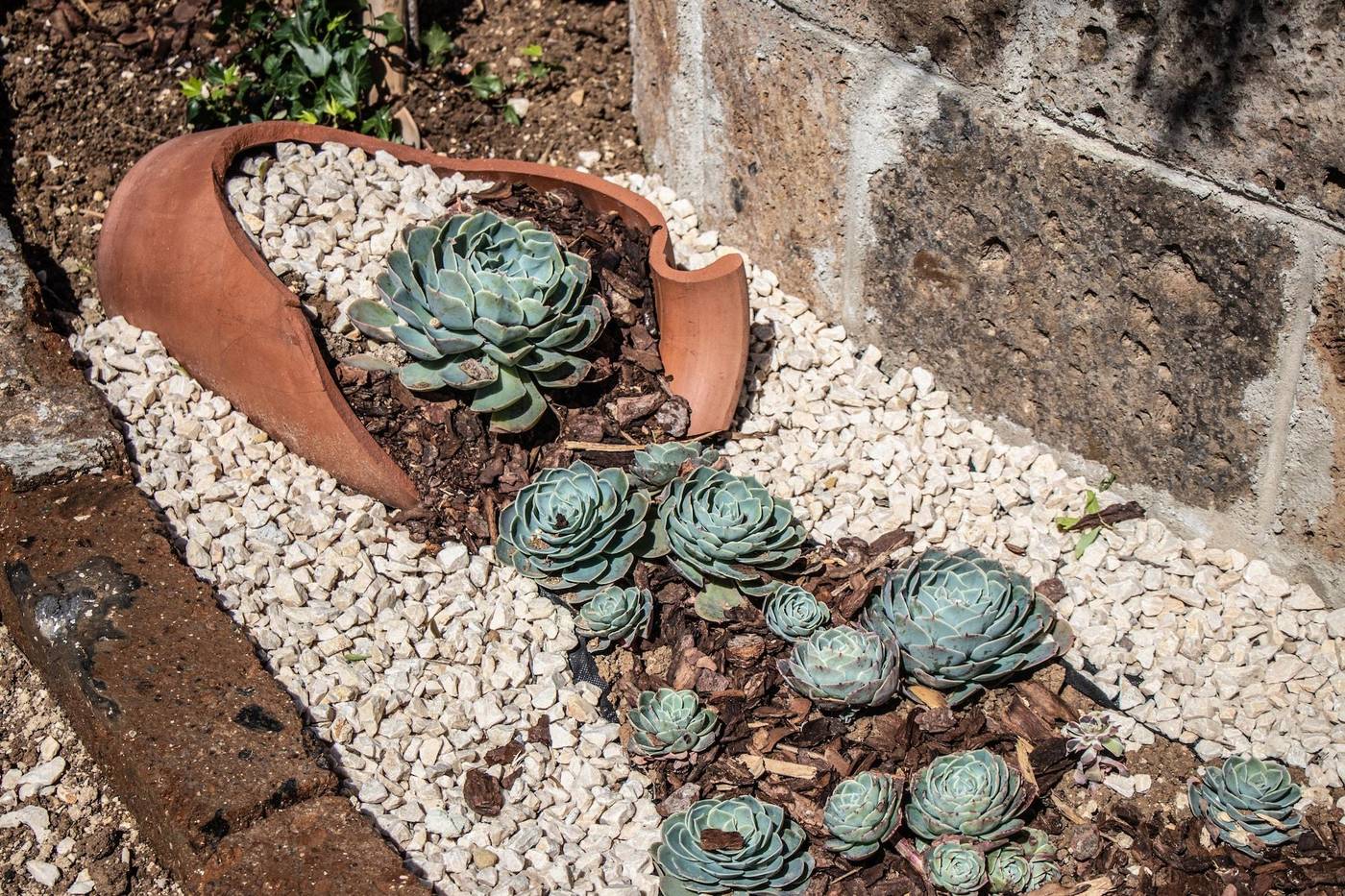 Villa Paola-Italy-FRANCAVILLA AL MARE-General view-2