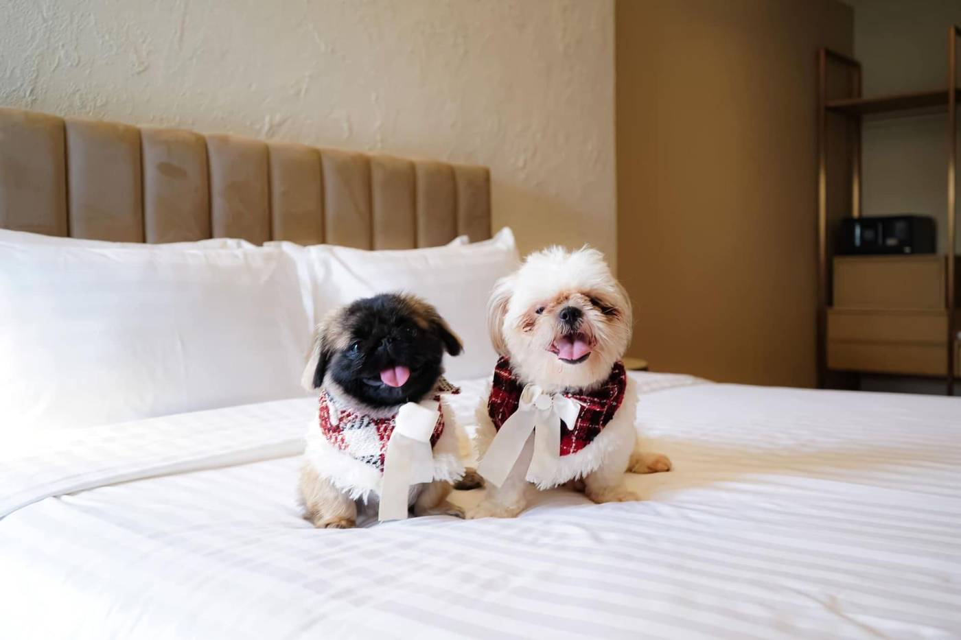 Away-Bangkok-Riverside-Kene-Room-47