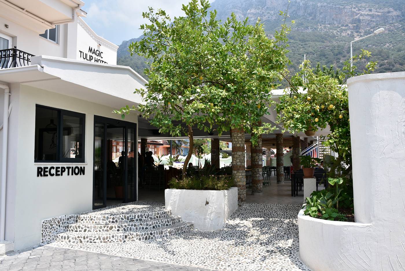 Magic-Tulip-Hotel-General-view-11