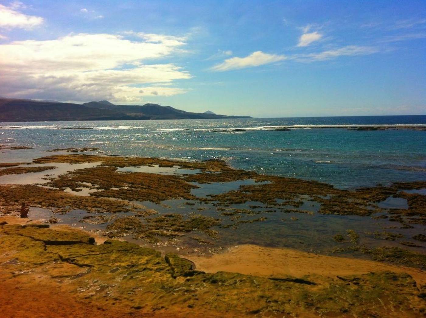 Miami-Las-Palmas-General-view-24