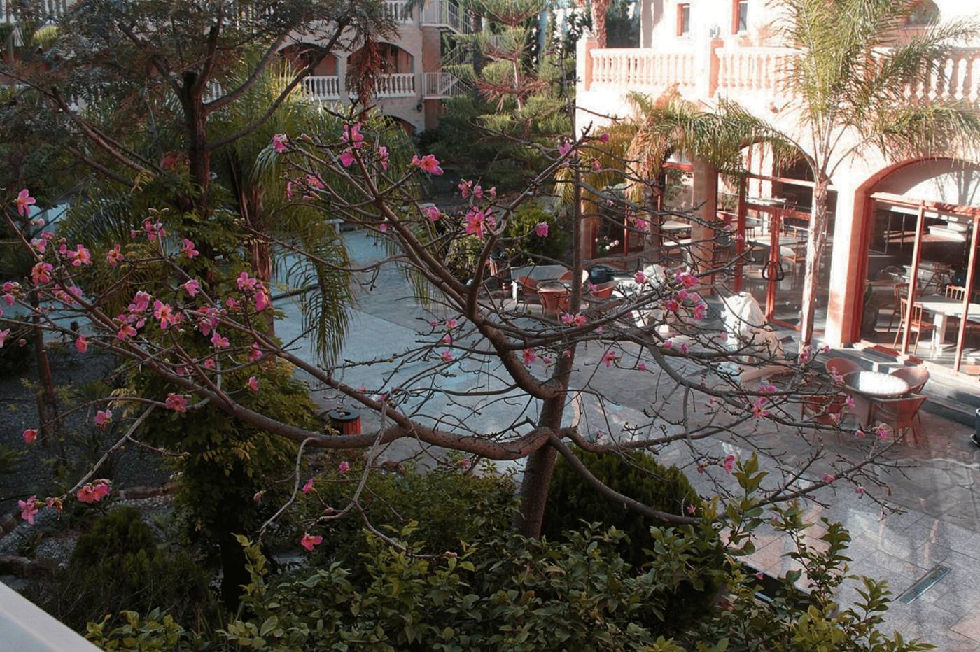 Hotel-Plaza-del-Castillo-Terrace-8