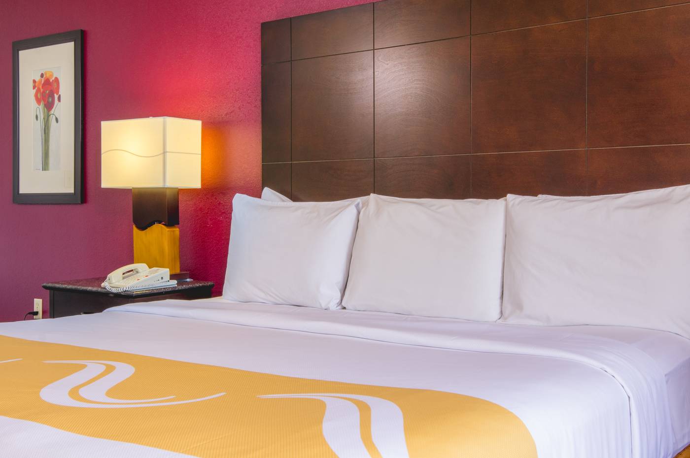 SureStay Plus by BW Orlando Lake Buena Vista-United States-LAKE BUENA VISTA-Room-5