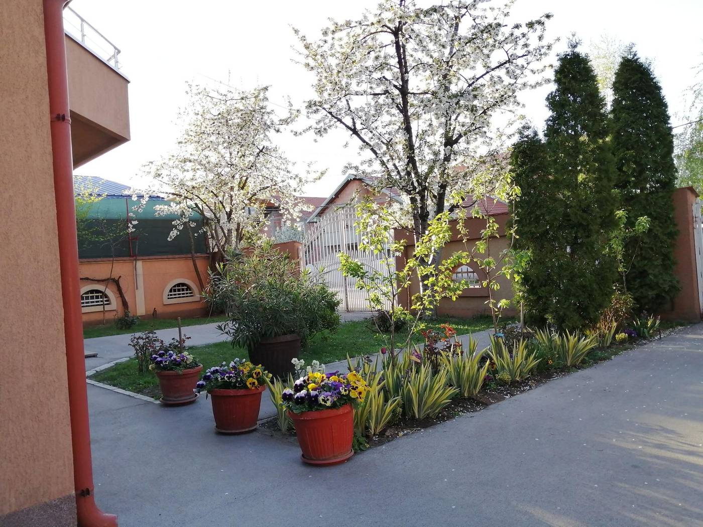 Apartments Bella Mare Belgrade-Serbia-Belgrade-General view-1