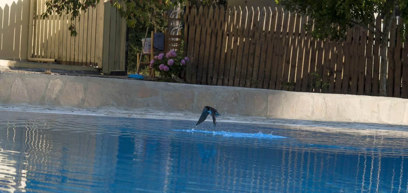 ELE-NAS-bohotel---Annex-Apartments-Pool-21