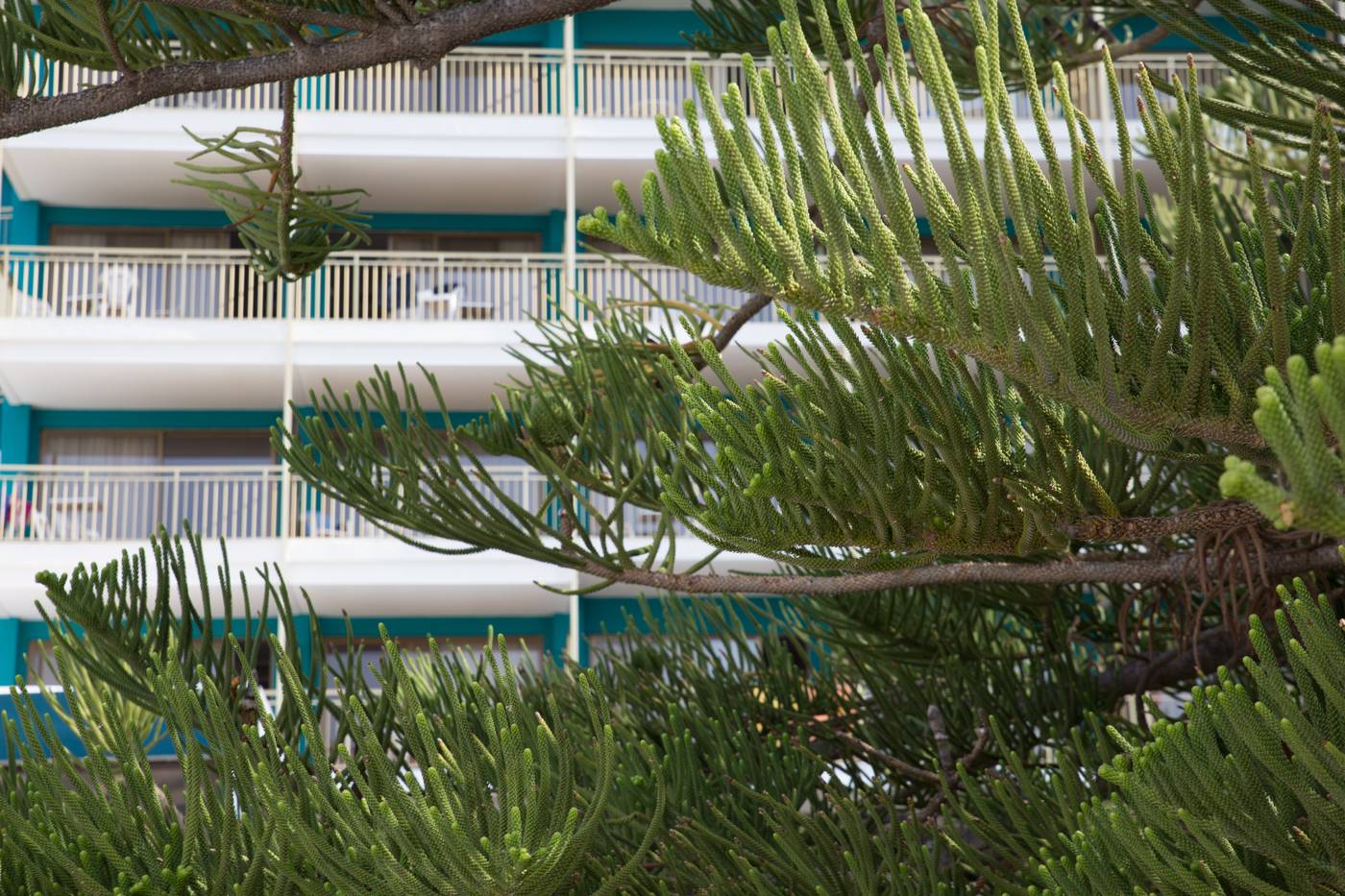 Almirante-General-view-23