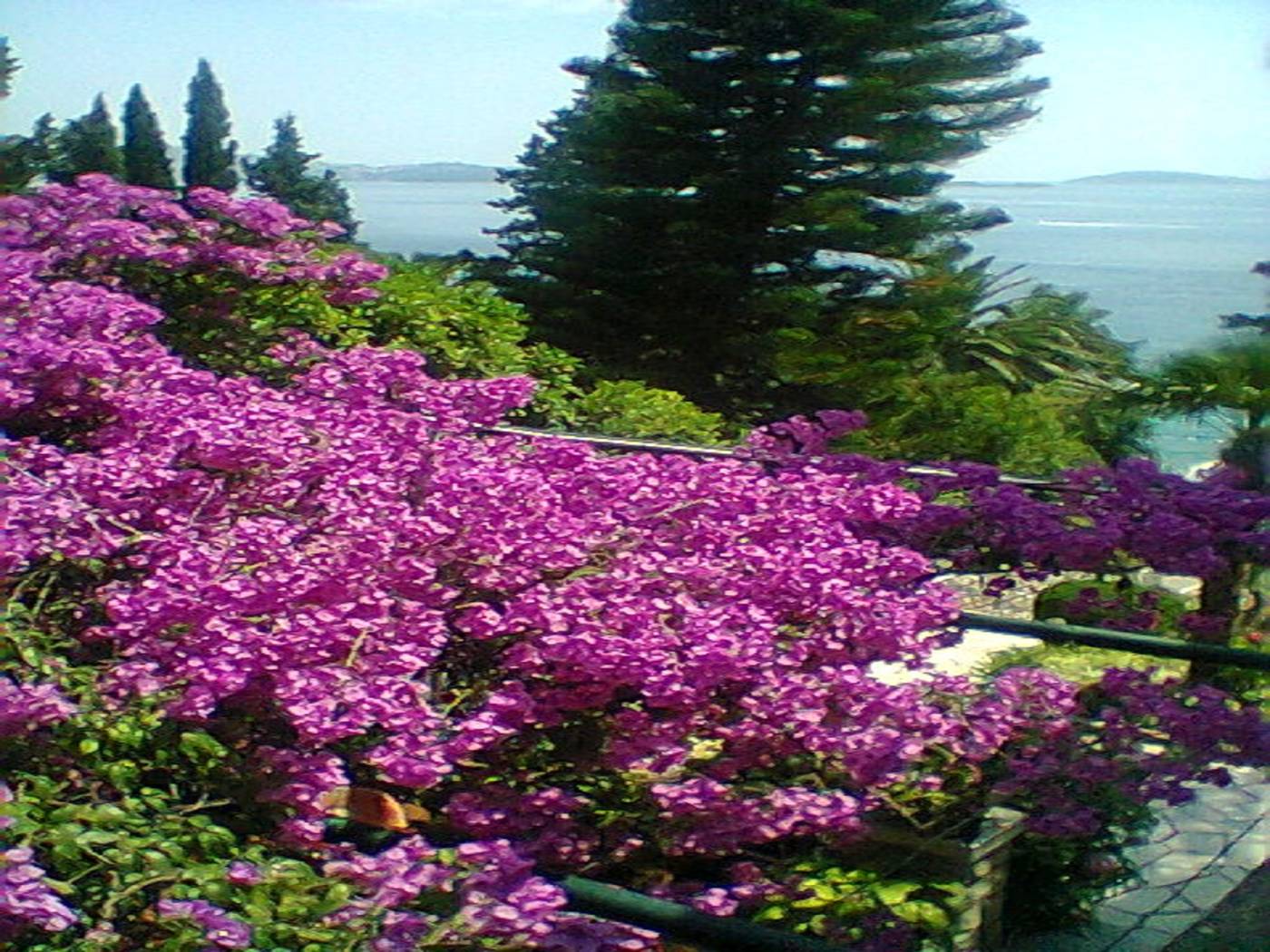 Guest-House-Villa-Nina-Room-48