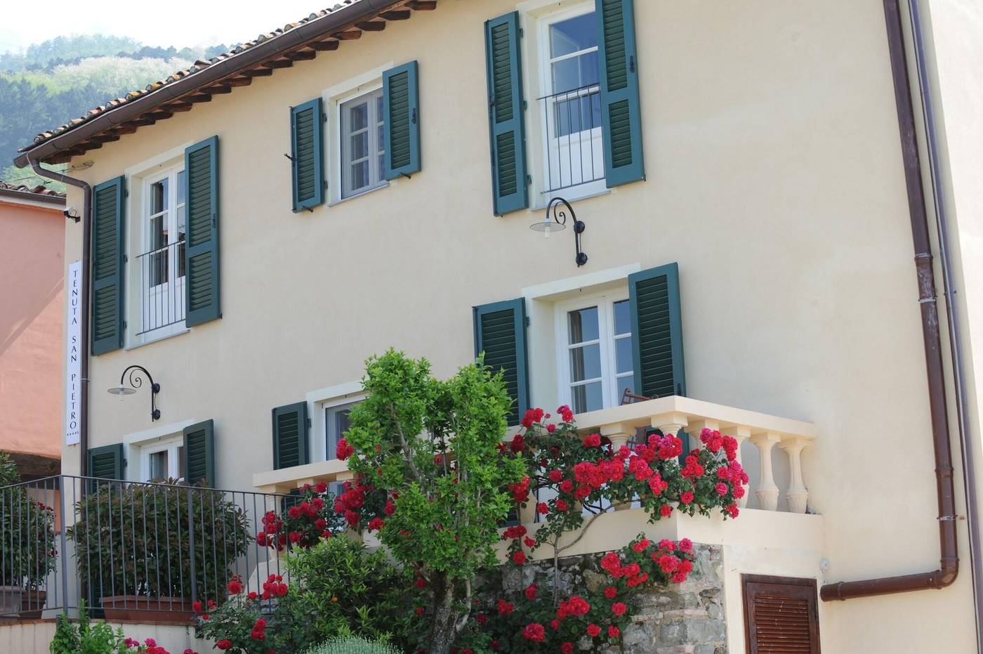 Tenuta-San-Pietro-General-view-2