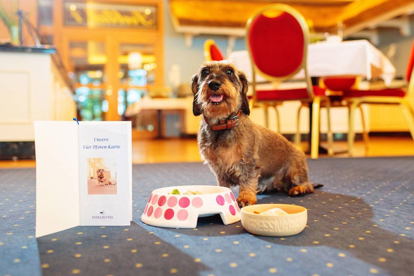 Inselhotel-Potsdam-Restaurant-39