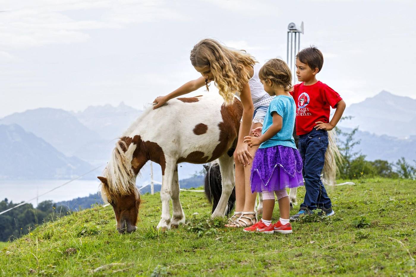 Hotel Sonnenberg-Switzerland-KRIENS-General view-4