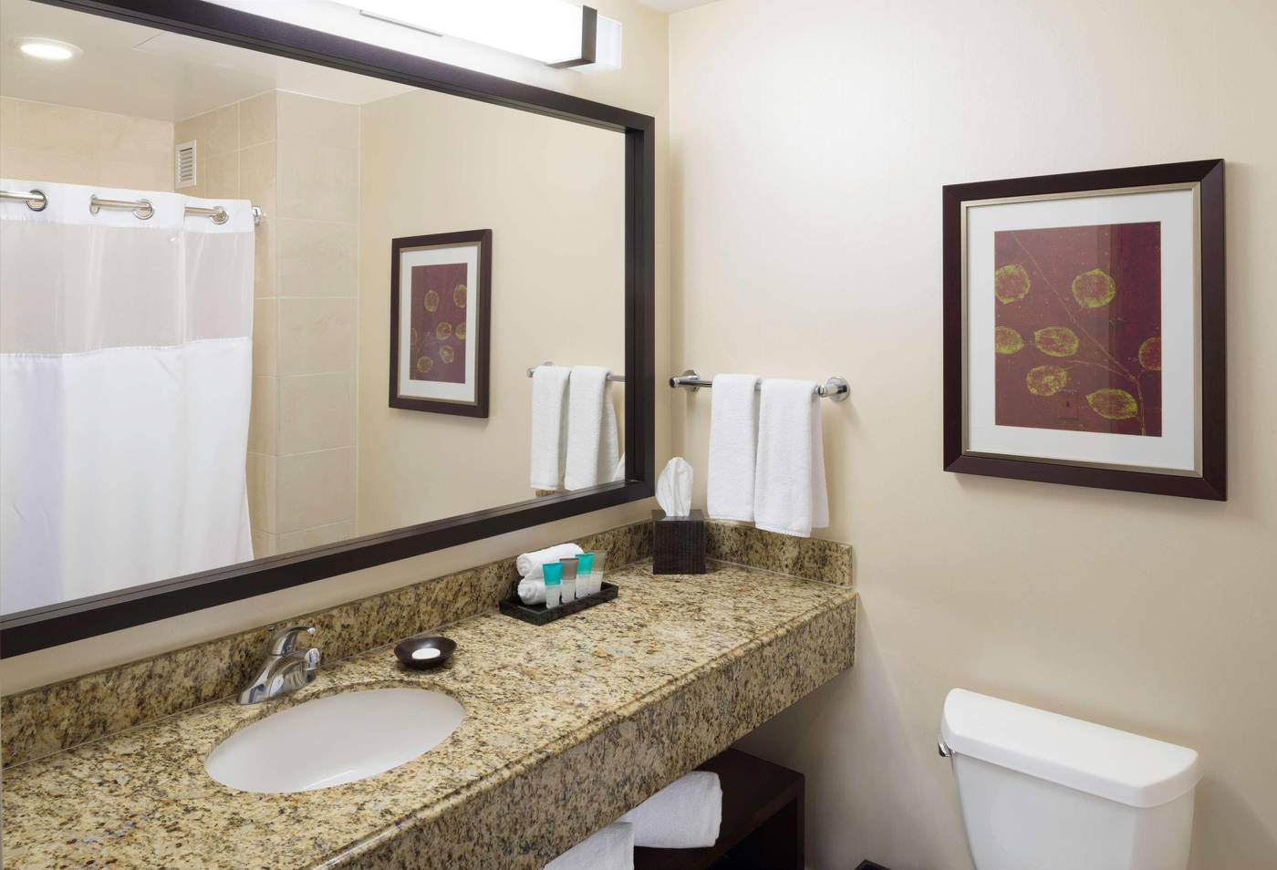 Hyatt-Regency-Orange-County-Room-44