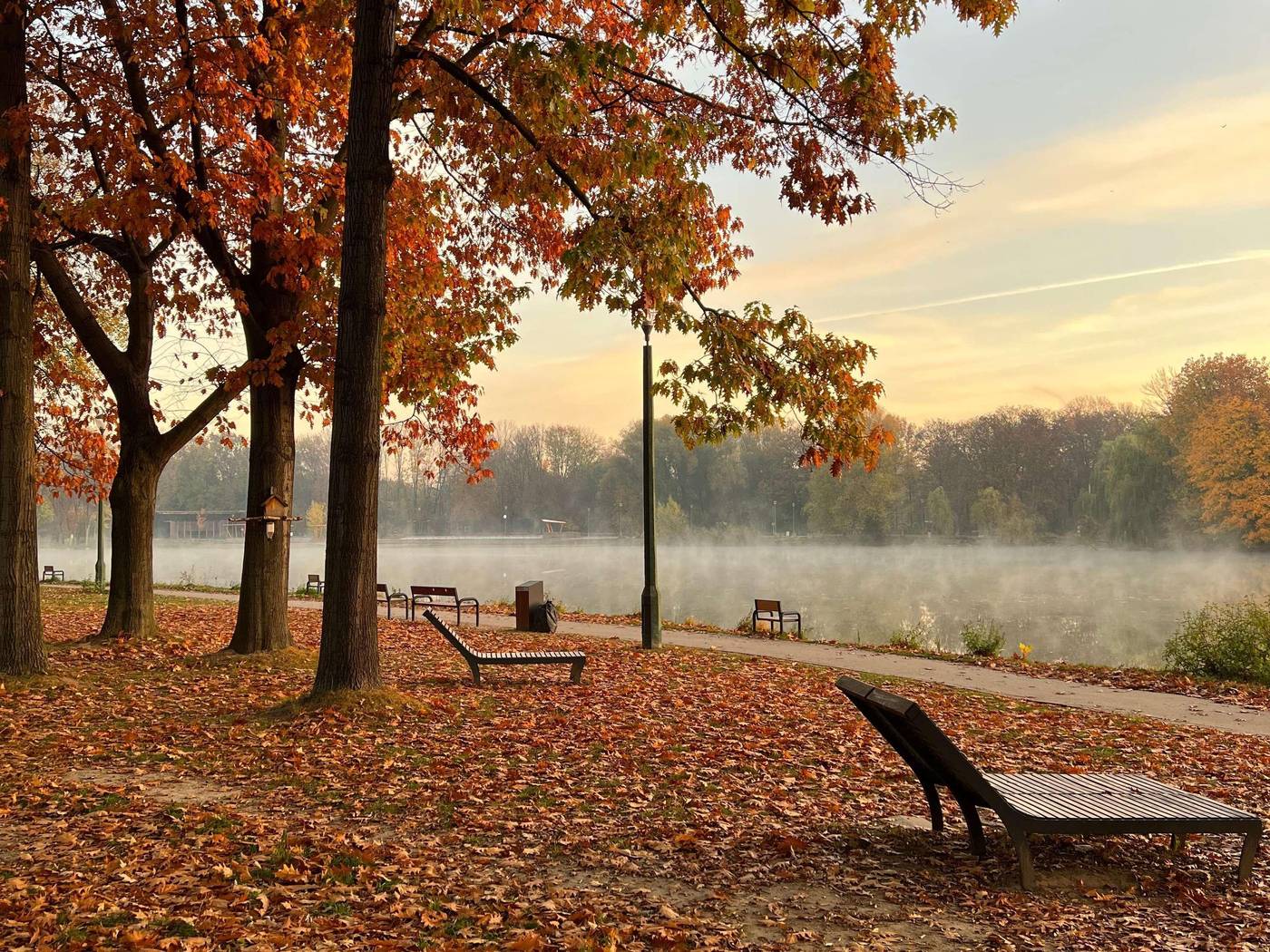 Ibis-Styles-Krakow-East-Sports-and-Entertainment-11