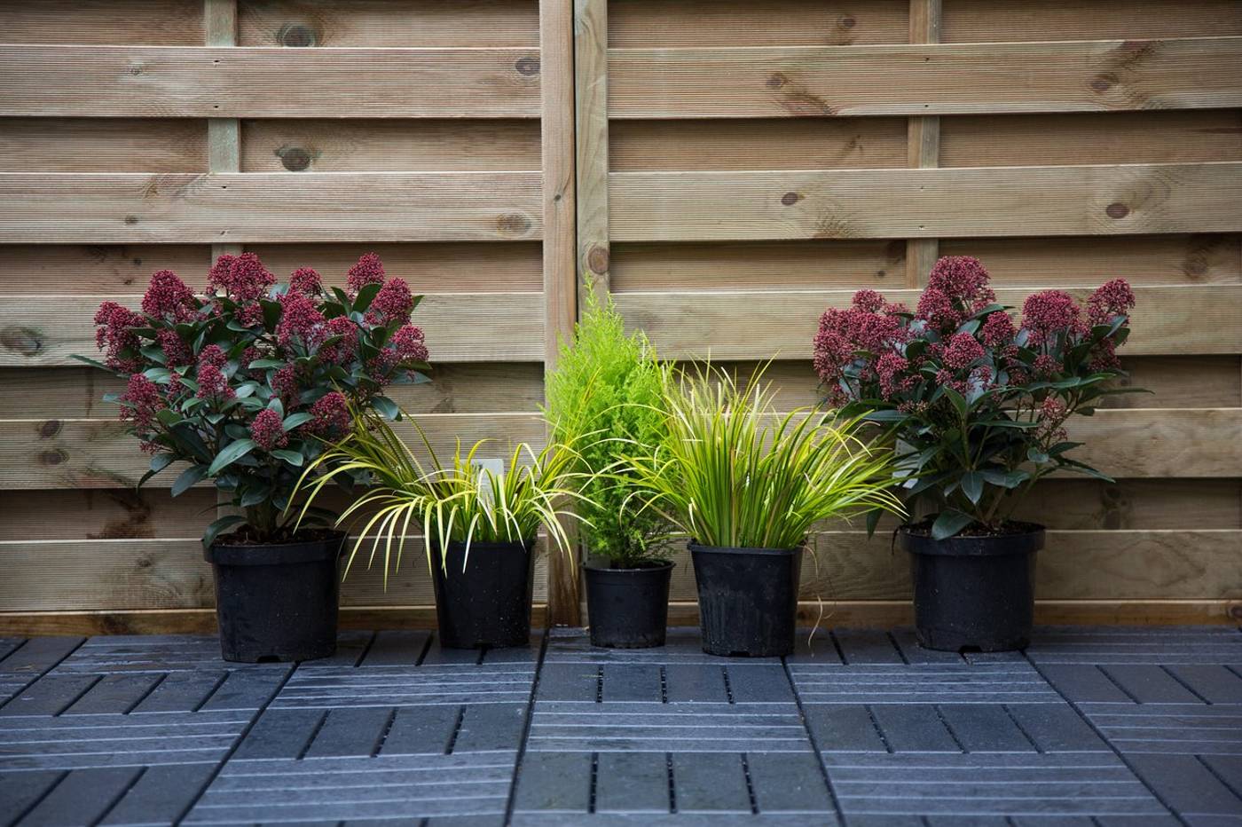 The Bedford Townhouse and Cafe-Ireland-Limerick-General view-4