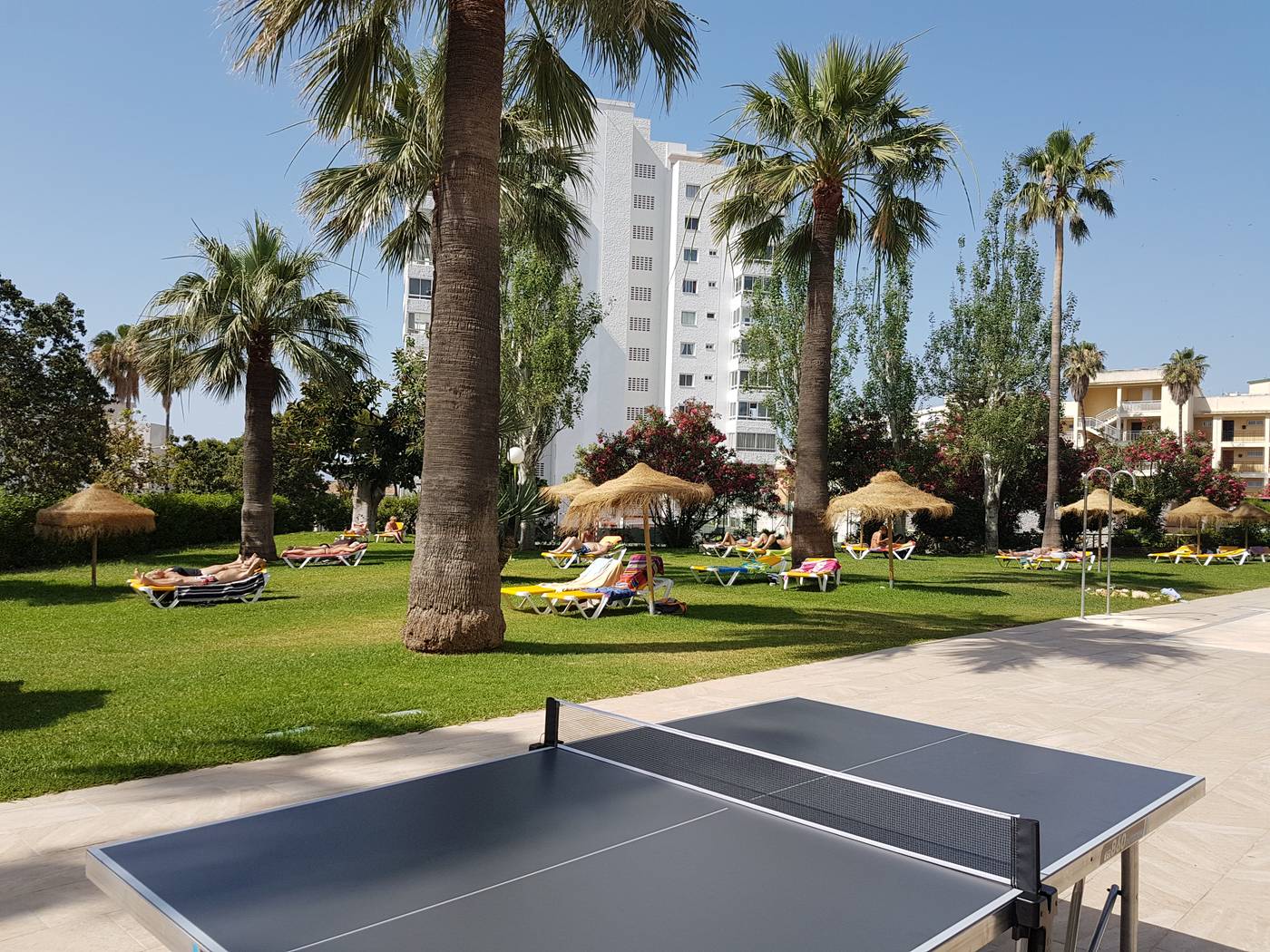 San-Fermin-Sports-and-Entertainment-54