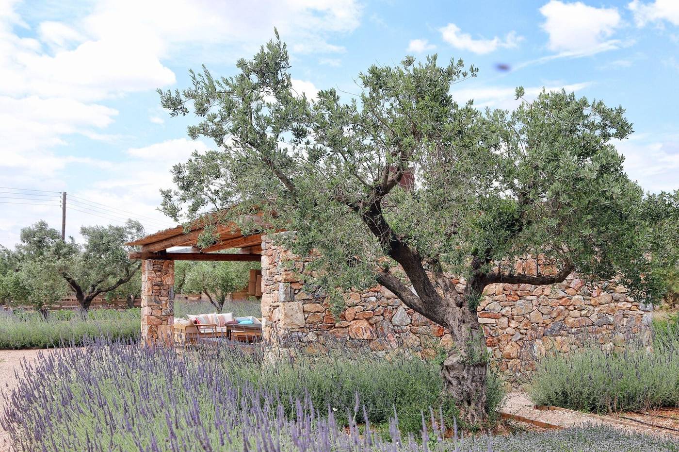 The-Margi-General-view-89