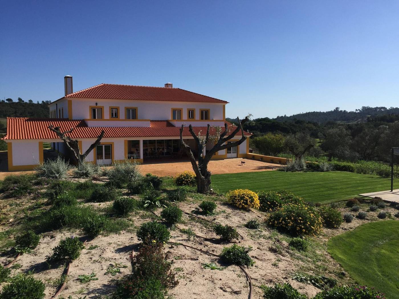 Casa-Do-Alfaro-General-view-8