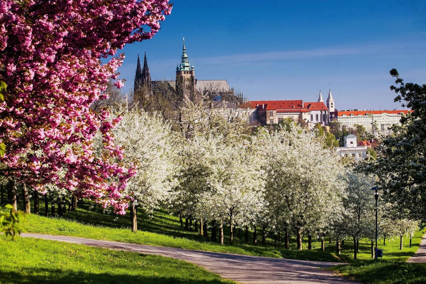 Hilton-Prague-Room-89