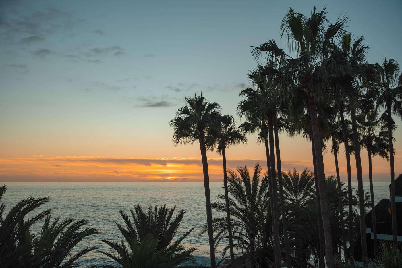 Sol-la-Palma-General-view-90