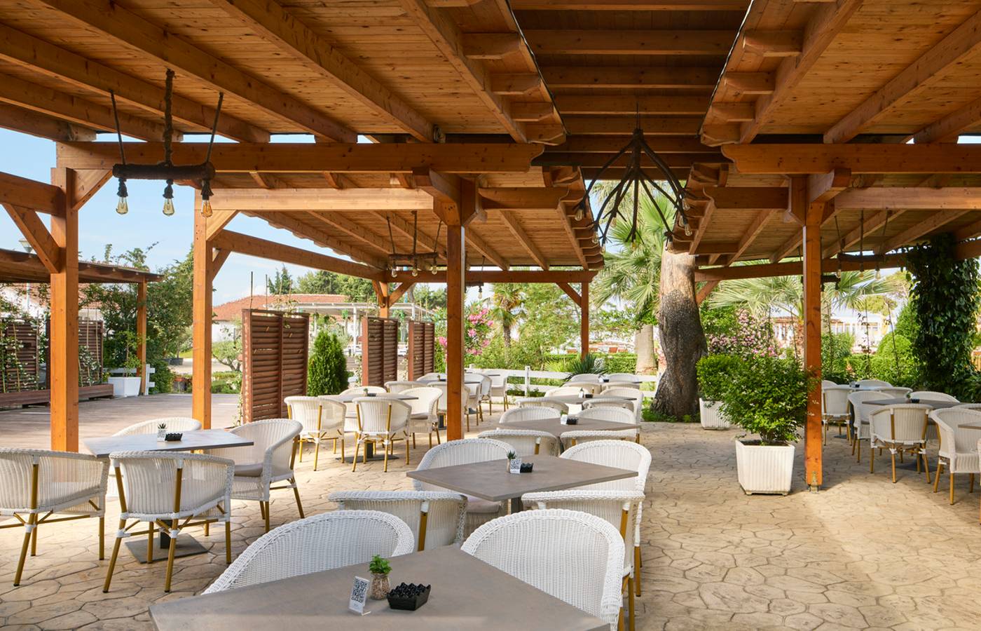 Sol Tropikal Durres 15.12.25