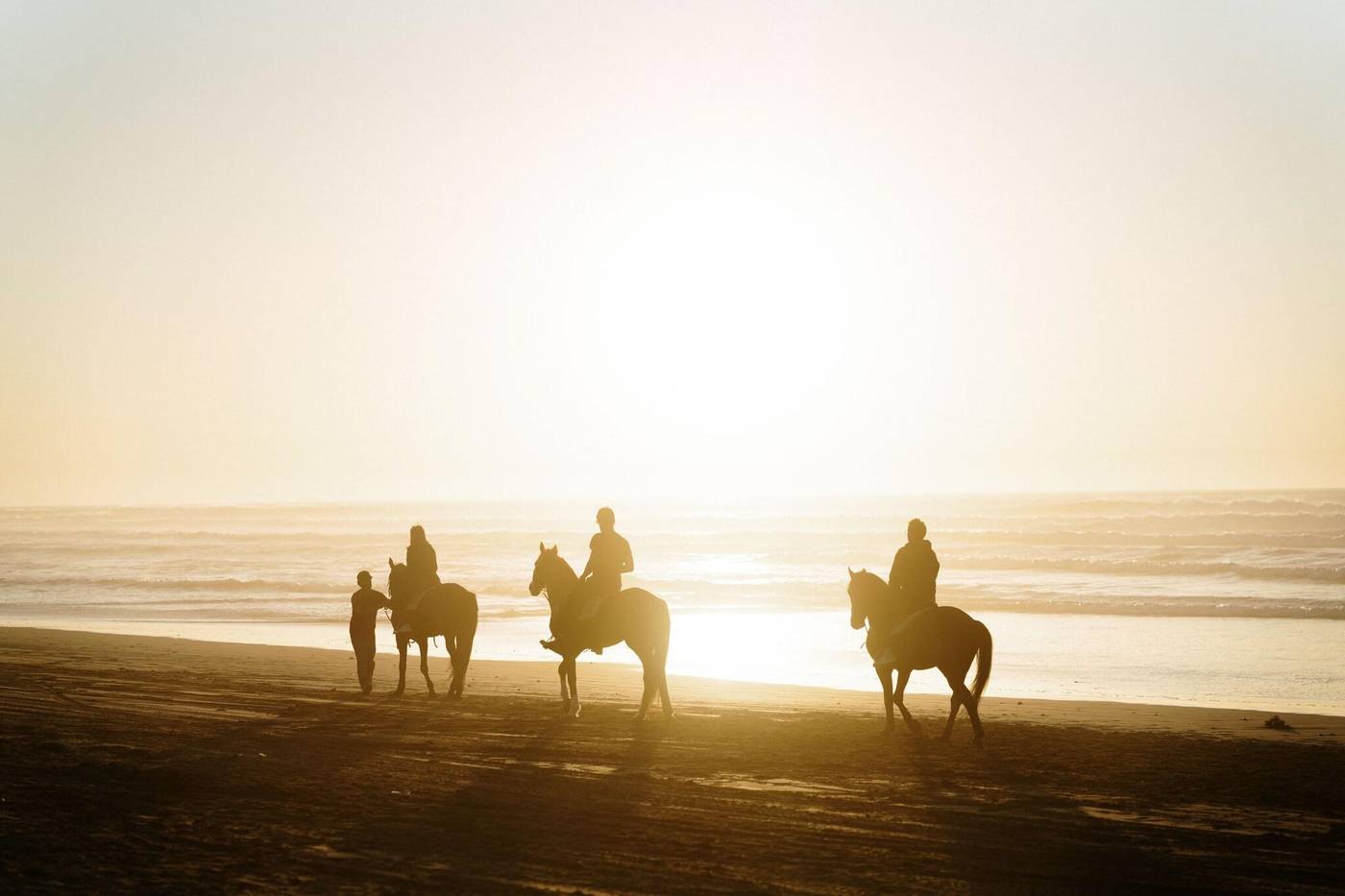 Sofitel-Agadir-Thalassa-Sea-and-Spa-Sports-and-Entertainment-106