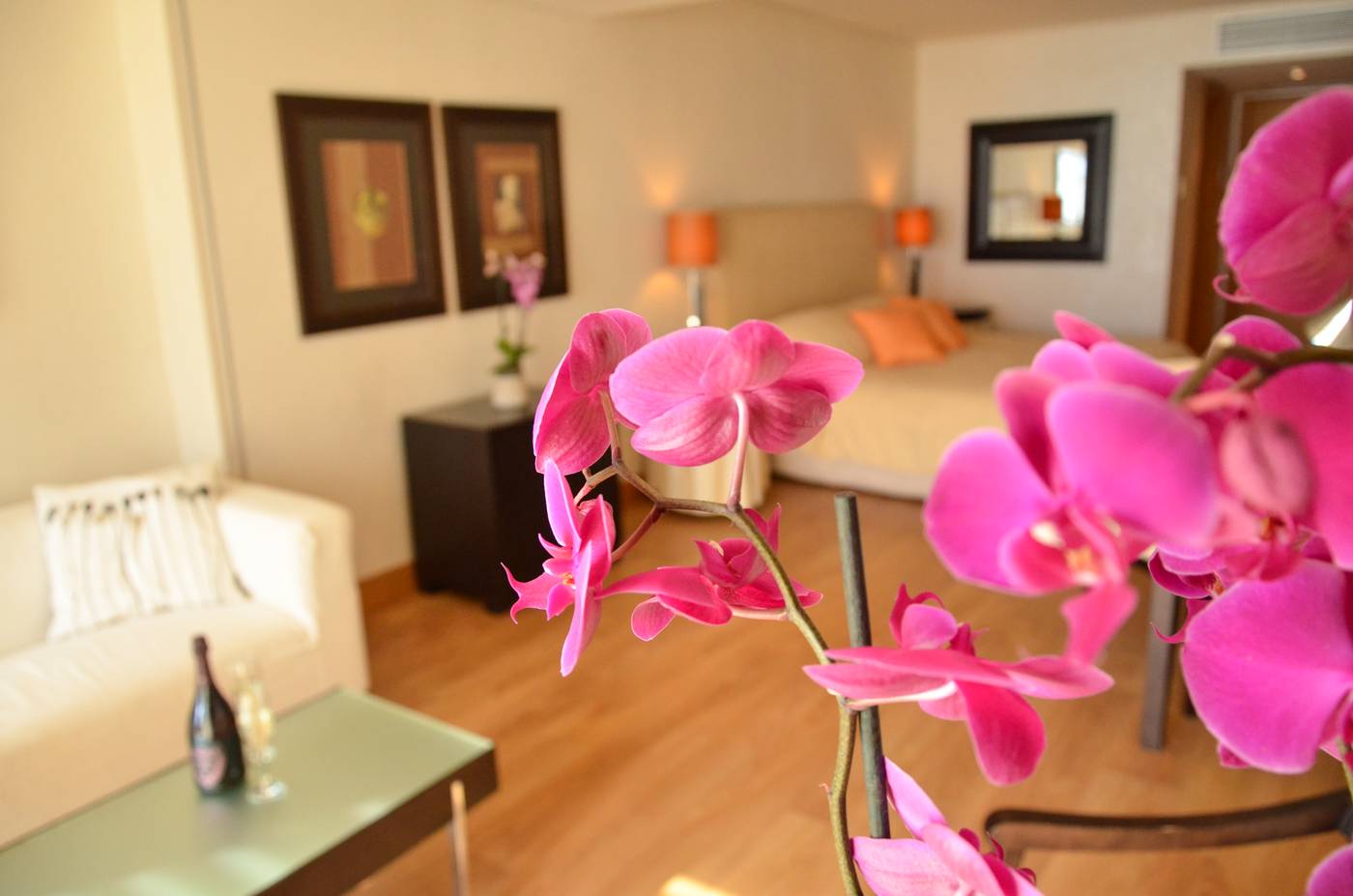 Plaza-Resort-Hotel-Room-34