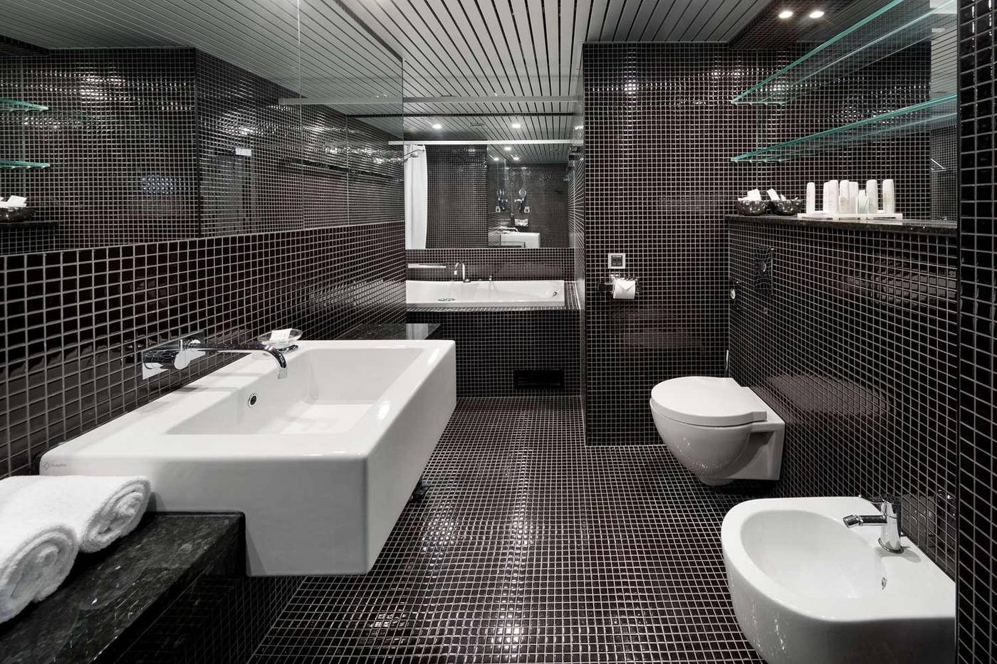 Radisson-Blu-Hotel-Olumpia--Room-37