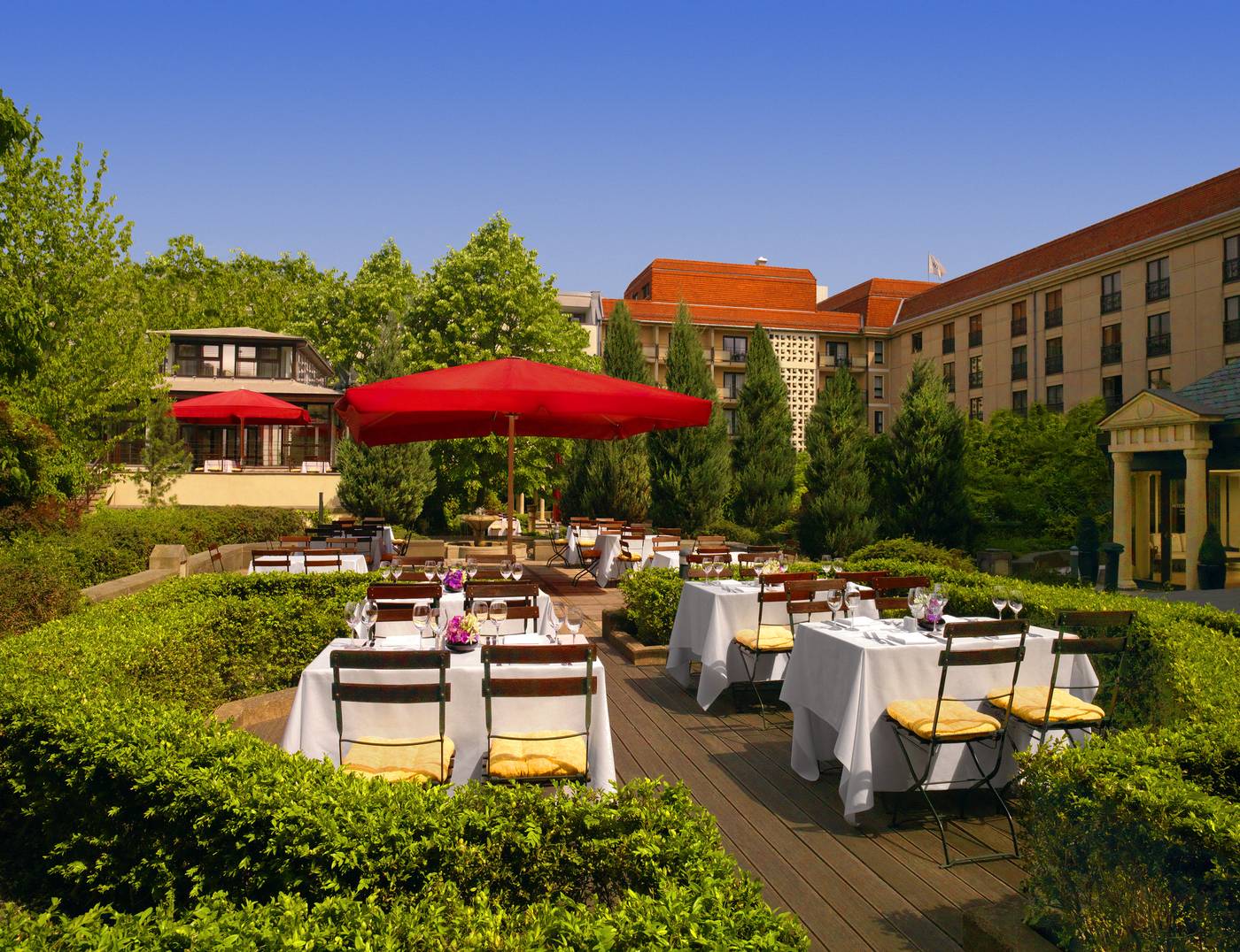The-Westin-Grand-Berlin-Terrace-95