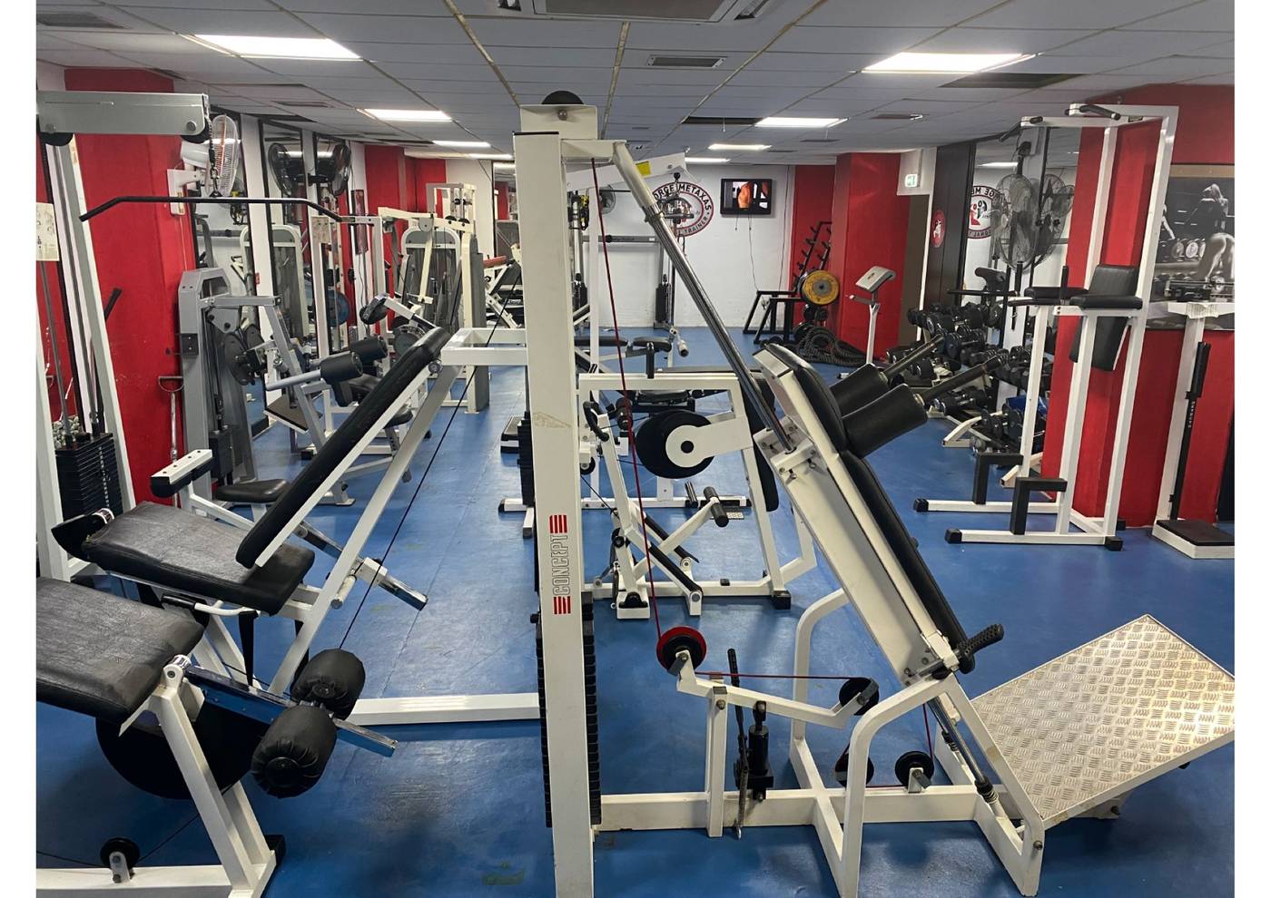 Navarria-Sports-and-Entertainment-31