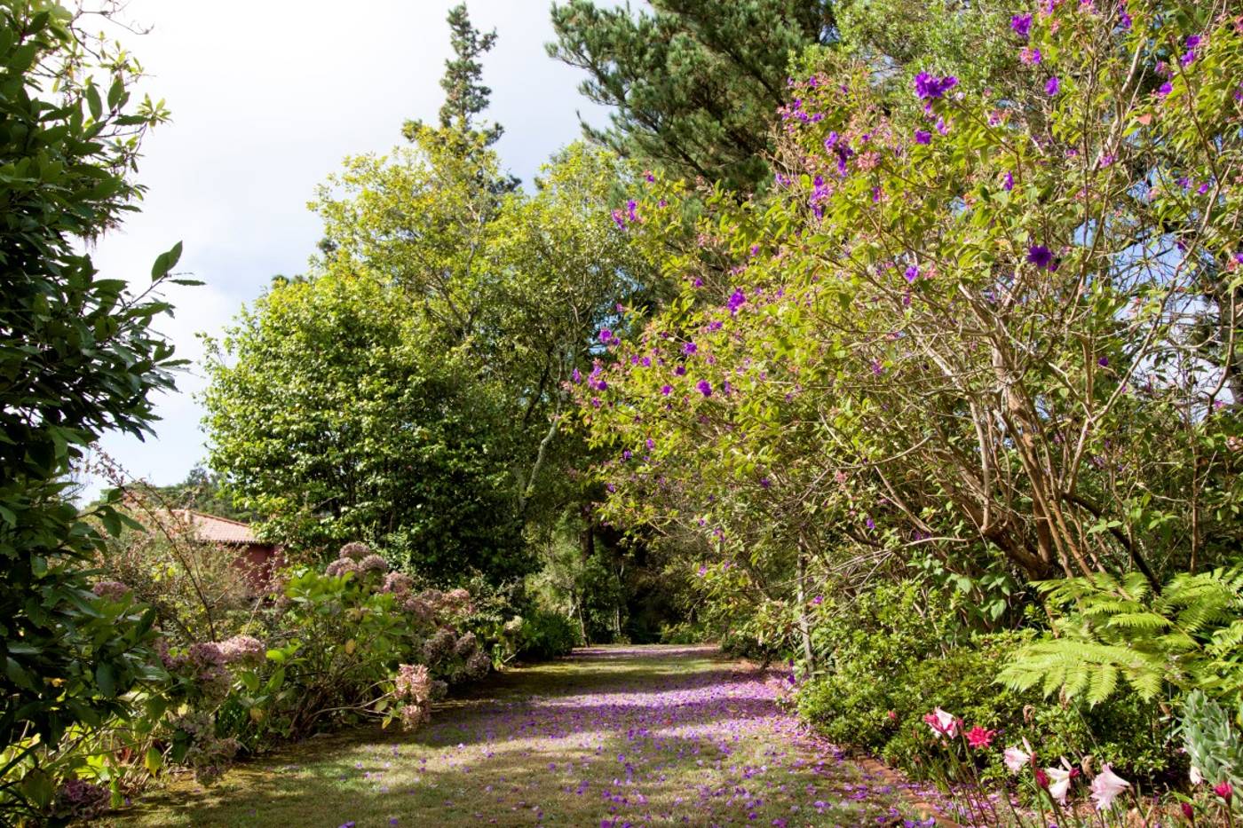 Quinta-Santo-Antonio-Da-Serra-General-view-16