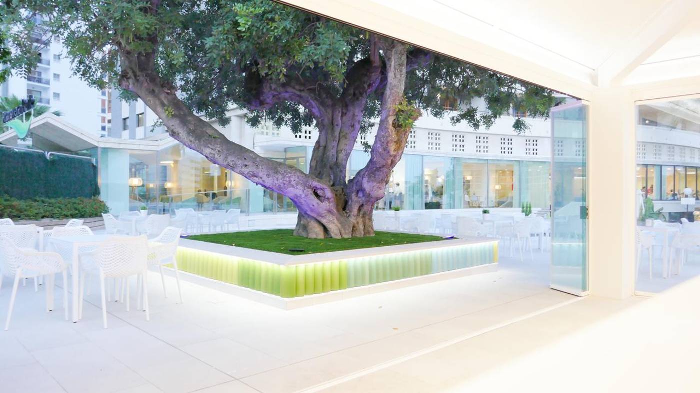 Primavera-Park-Terrace-12