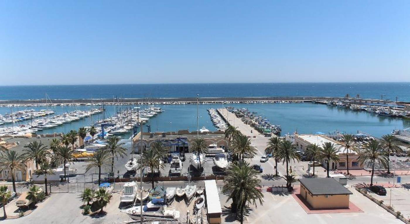 Las-Palmeras-General-view-54