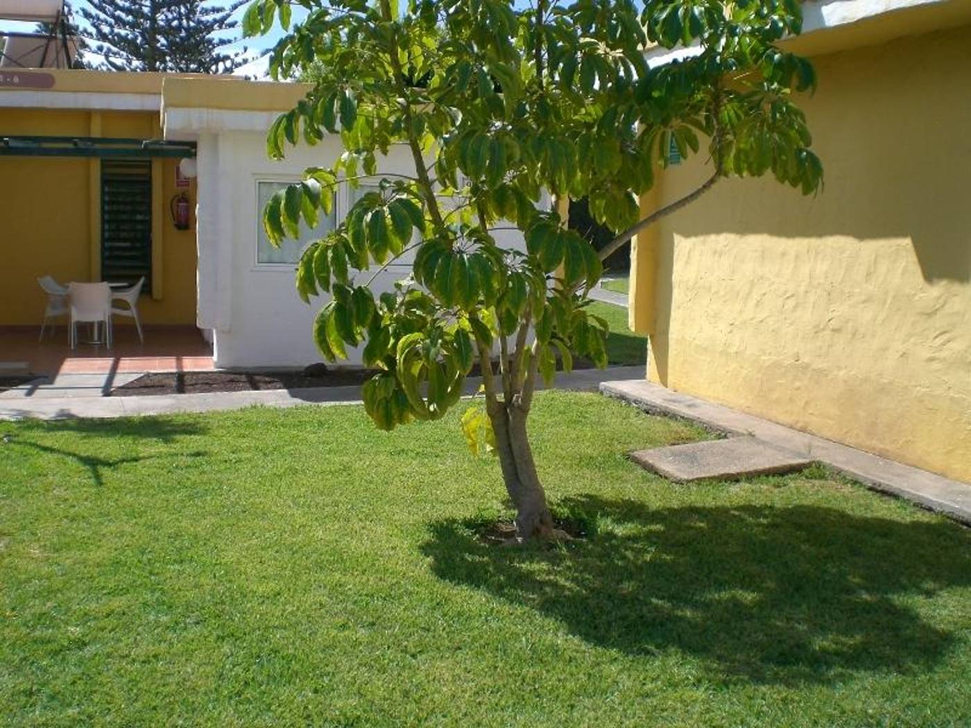 Sunny-Village-Terrace-17