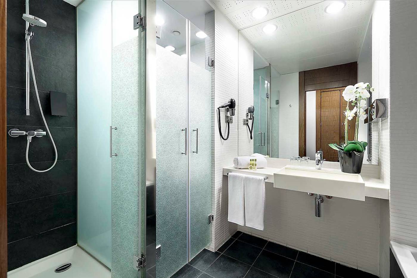 Rafaelhoteles-Madrid-Norte-Room-26