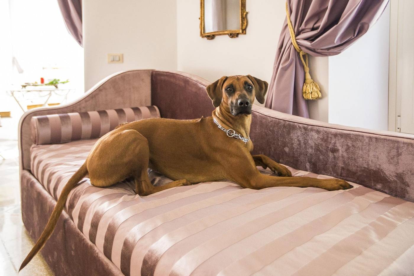 Trastevere-Royal-Suite-Room-4