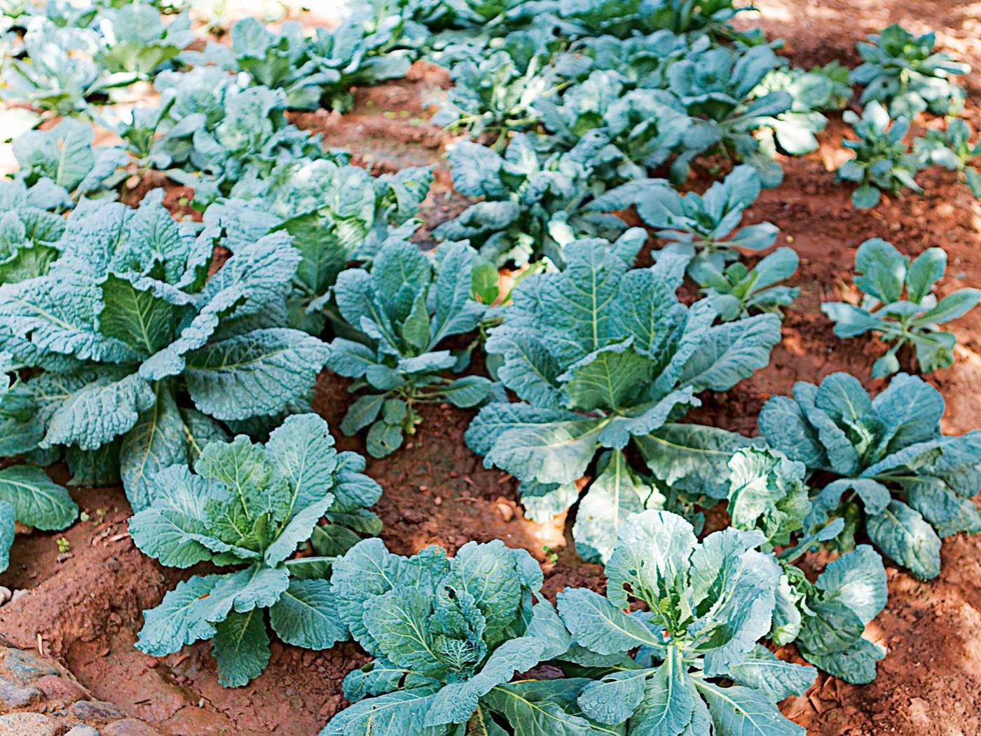 Fairmont Royal Palm Marrakech-Morocco-Marrakech-General view-7