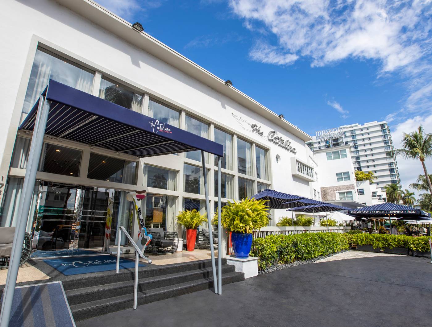 The Catalina Hotel & Beach Club - United States - MIAMI BEACH - General view - 1