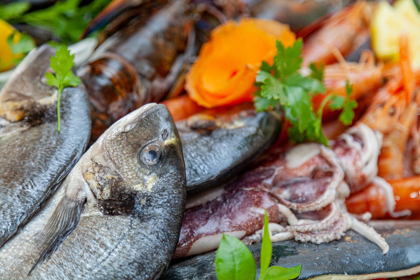 Hotel-San-Trano-Restaurant-68