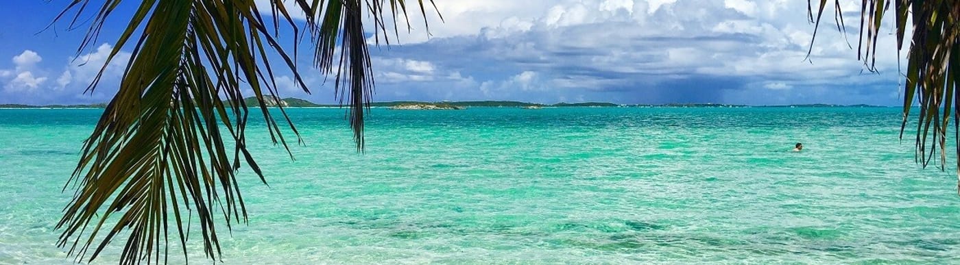 Image of a turquoise sea, framed by palm leaves